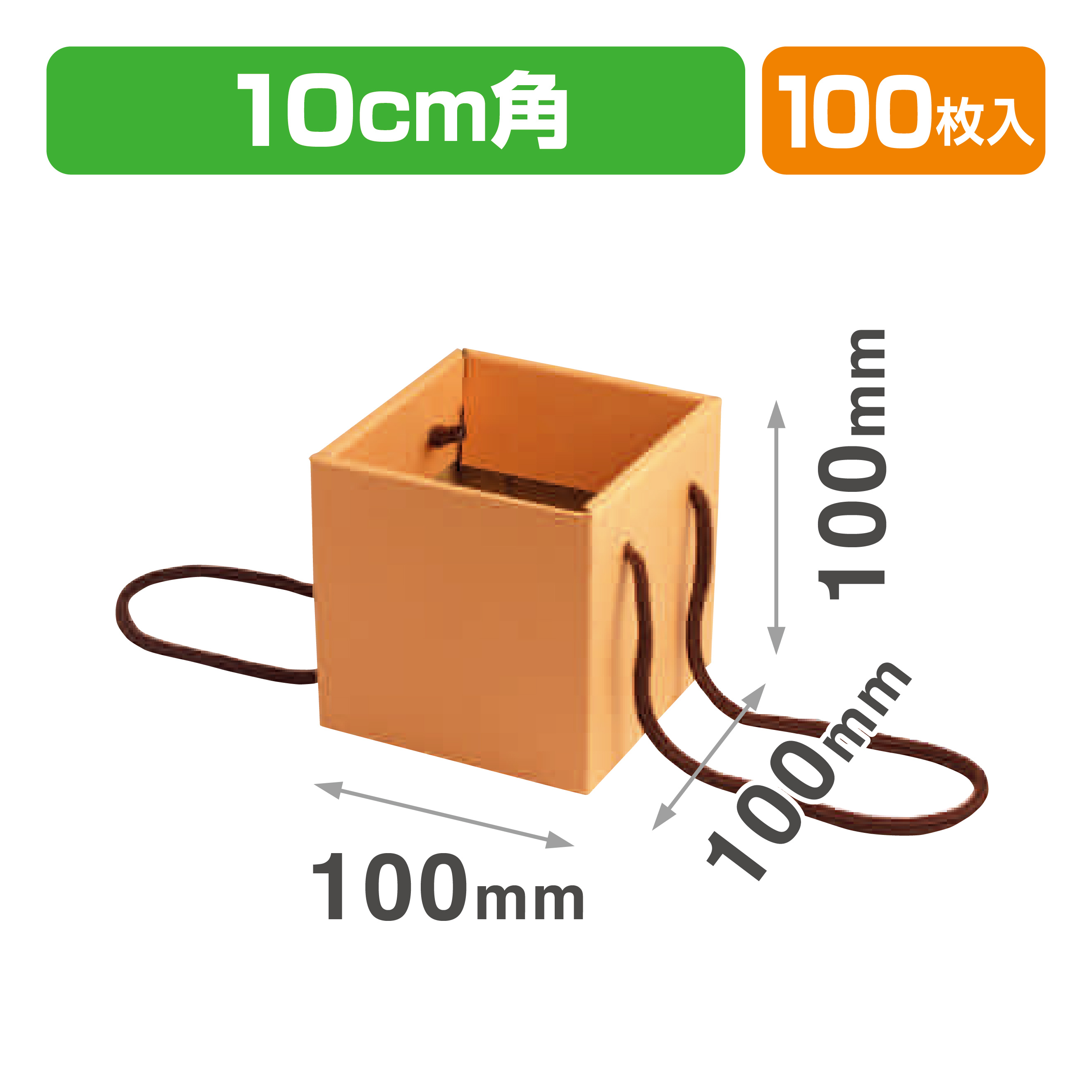 ミニブーケキャリー100(オレンジ)