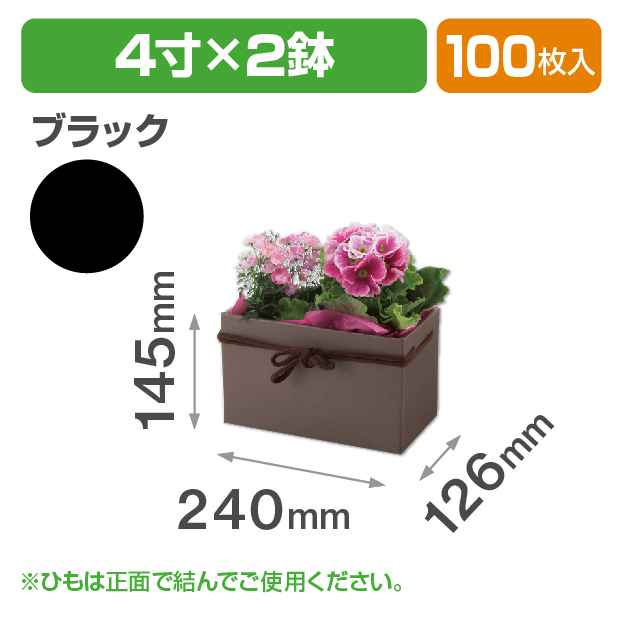 スクエアBOX（4寸×2鉢）ブラック