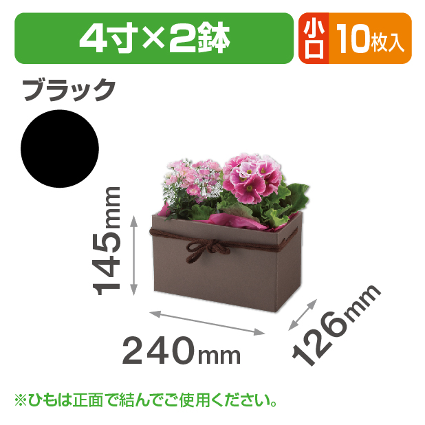 スクエアBOX（4寸×2鉢）ブラック 小口