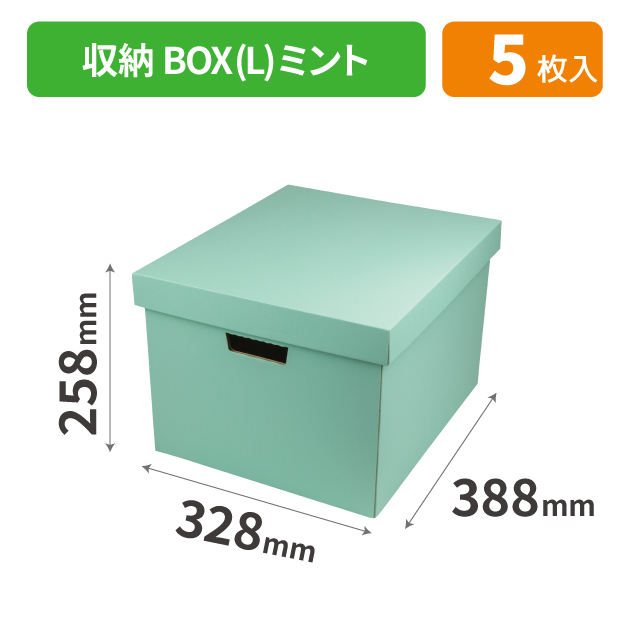 EE-689 収納BOX(L) ミント