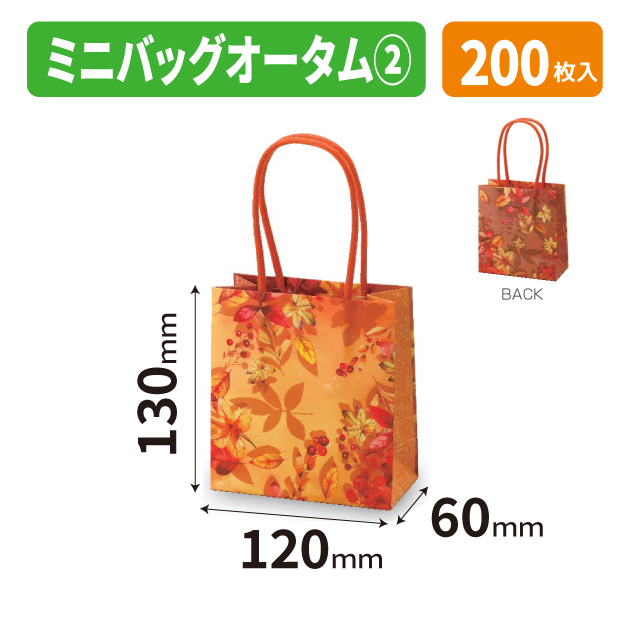 20-2697 ミニバッグ オータム②