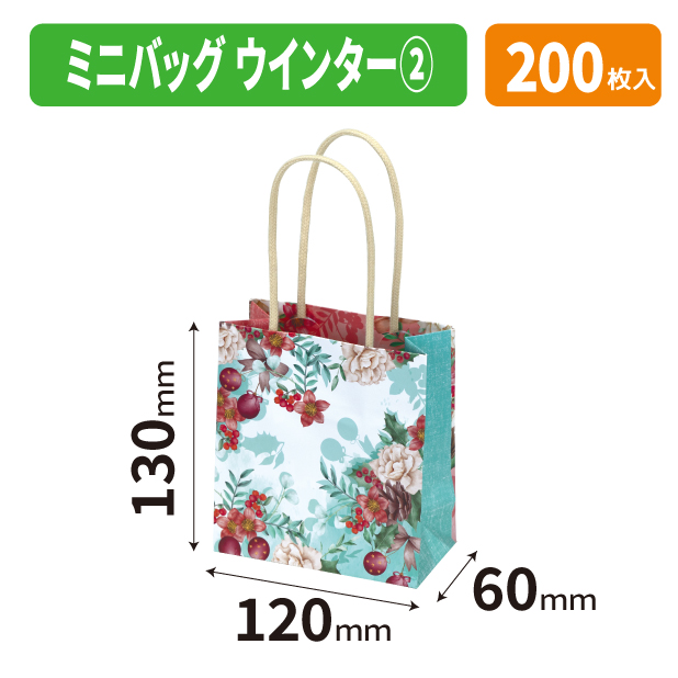 20-2699 ミニバッグ　ウインター②