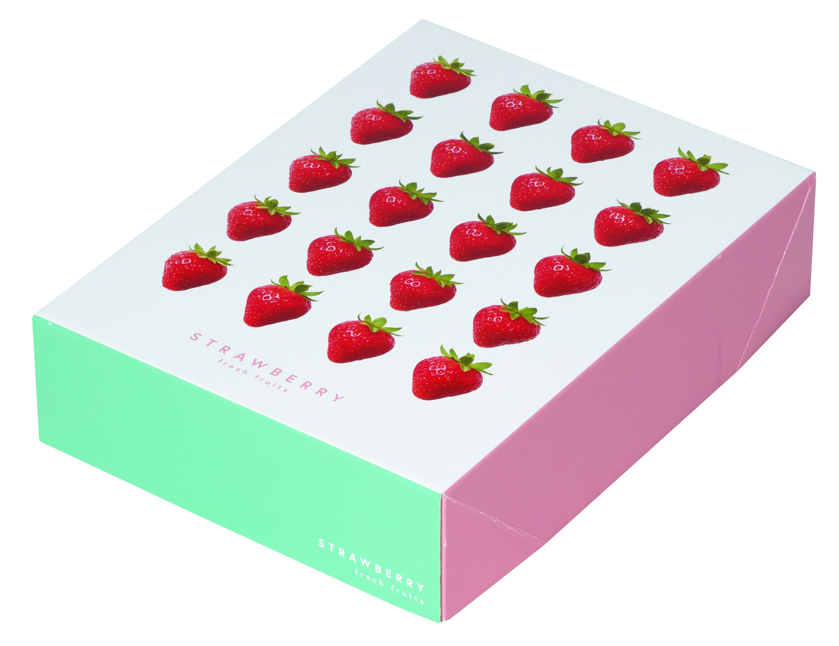 L-2572 エコパストロベリーBOX商品画像2