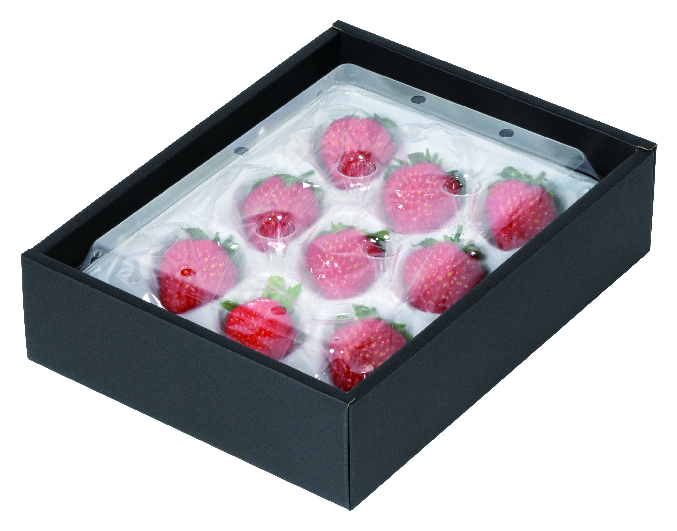 L-2572 エコパストロベリーBOX商品画像3