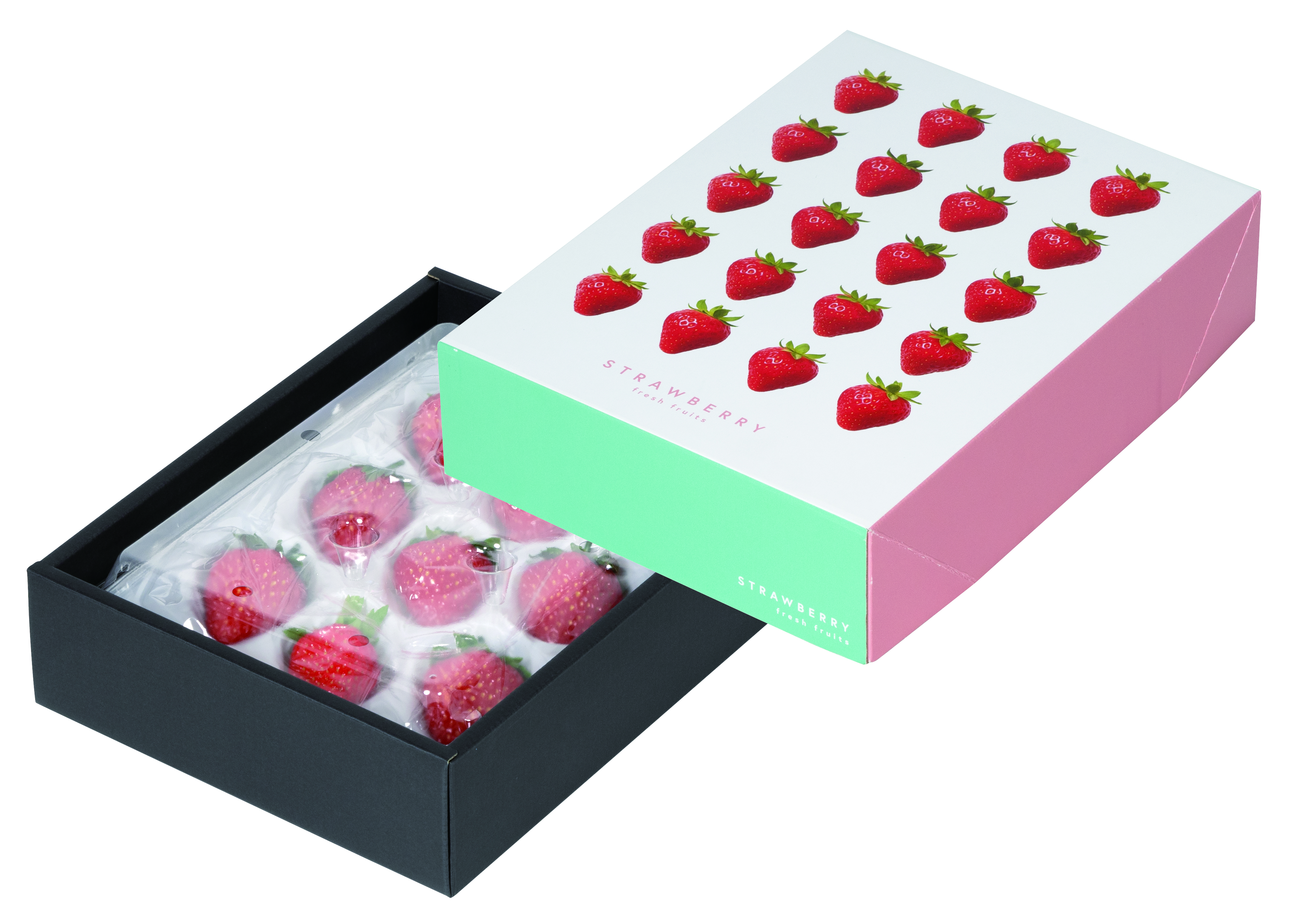L-2572 エコパストロベリーBOX
